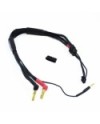 CABLE CARGA 2S DE 30 cm CON CONECTOR XT60 -  4/5mm