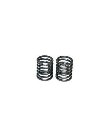 MUELLE DEL. 1.9 -6.5T MRX (2u.)