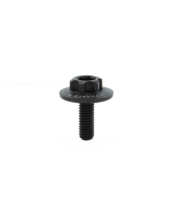 TORNILLO EMBRAGUE ULTIMATE (2u.)