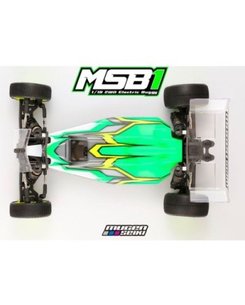 COCHE 1/10 2WD OFF ROAD ELECTRICO MSB1