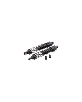 AMORTIGUADOR COMPLETO (2u.)  RGT86100V2