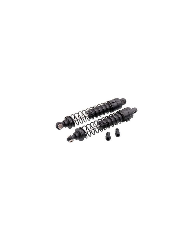 AMORTIGUADOR COMPLETO (2u.)  RGT86100V2
