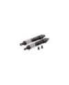 AMORTIGUADOR COMPLETO (2u.)  RGT86100V2
