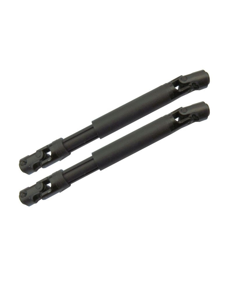 CARDAN CENTRAL (2u.) RGT86100V2