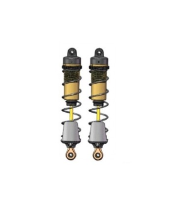 SET COMPLETO AMORTIGUADORES TRAS. (2u.) HNRH9901