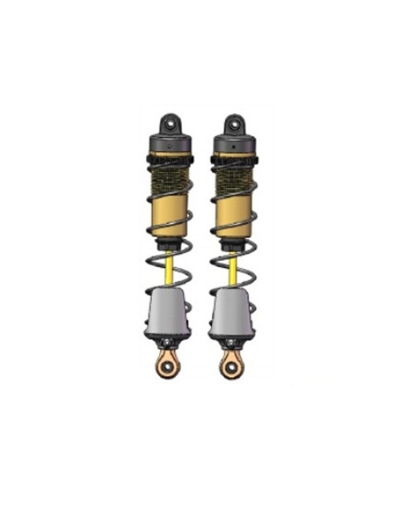 SET COMPLETO AMORTIGUADORES TRAS. (2u.) HNRH9901