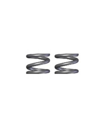 MUELLE SLIPPER 2,0*13mm (2u.) H9901