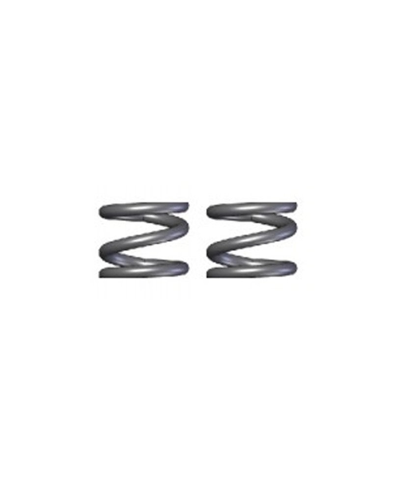 MUELLE SLIPPER 2,0*13mm (2u.) H9901