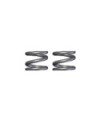 MUELLE SLIPPER 2,0*13mm (2u.) H9901