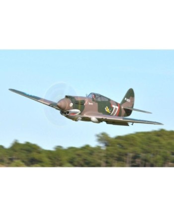 AVION P-40B 1400mm PNP FMS