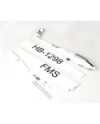 AVION ASW-17 EP GILDER 2500mm PNP FMS
