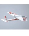 AVION EASY TRAINER 12800MM PNP FMS