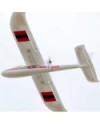 AVION EASY TRAINER 12800MM PNP FMS
