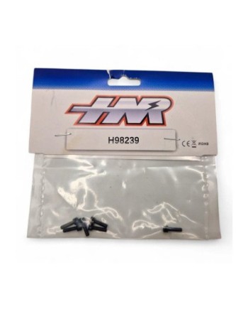 TORNILLO M4X10 (6u.) HNR9803