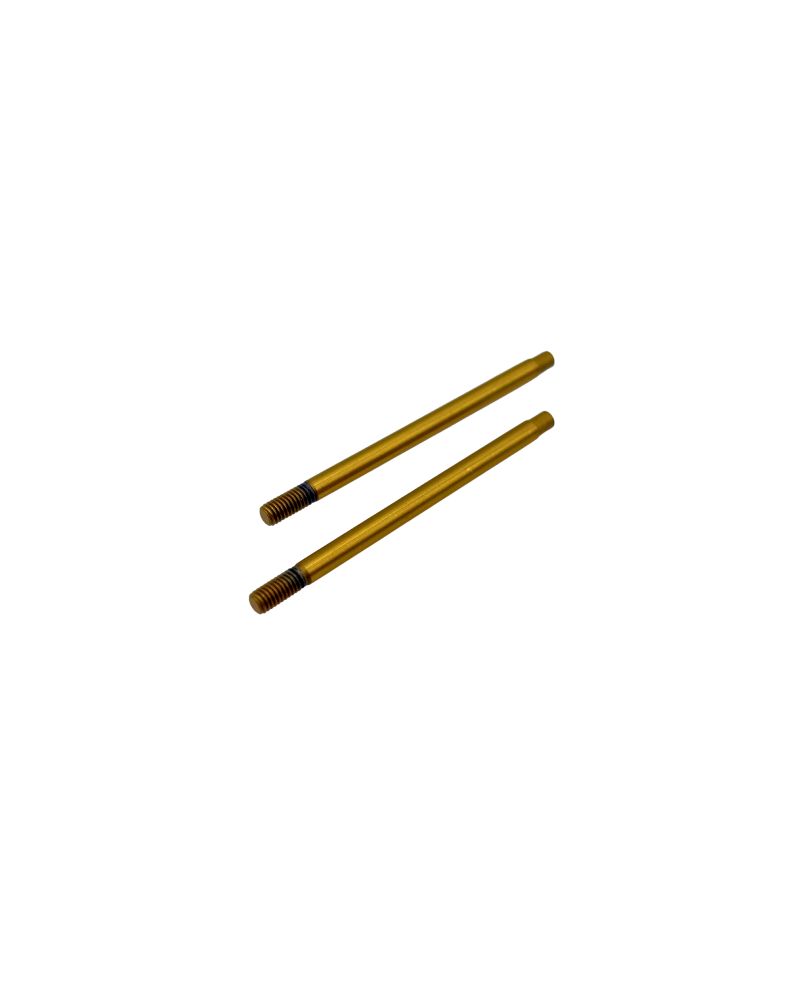 VÁSTAGOS AMORTIGUADOR BBS TEFLÓN LARGO (2U.) S12-3 C/D SWORKZ