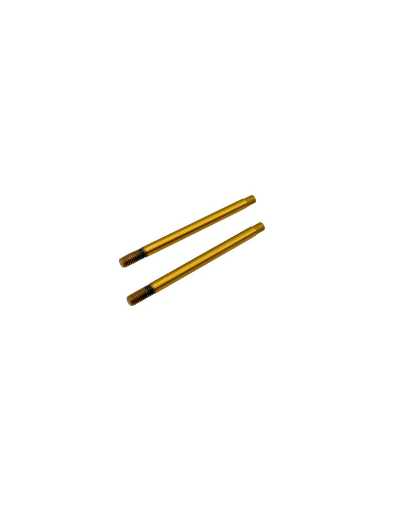 VÁSTAGOS AMORTIGUADOR BBS TEFLÓN CORTO (2U.) S12-3 C/D SWORKZ