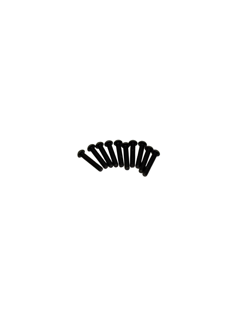 TORNILLO ALLEN OH/TP M2X10MM (10U.) SWORKZ